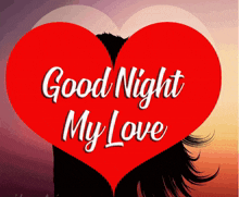 Good Night My Love GIF - Good Night My Love GIFs