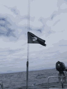 pirate flag wave sea