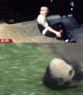 a picture of a person sitting on the ground and a picture of a panda bear