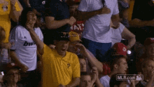 baseball fan clap shout celebrate yeah
