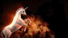 Casual GIF - Unicorns Flames Fire GIFs