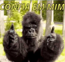 Confia Em Mim GIF - Trust Trustme Gorilla GIFs