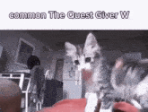 The Quest Giver Quest GIF - The Quest Giver Quest Giver Quest GIFs