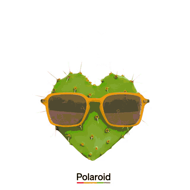 Polaroid Eyewear - What about your next match? Start training with Active  sunglasses. #brightherebrightnow #polaroideyewear #theoriginalpolarized |  Facebook