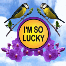 Im So Lucky Lucky Me GIF - Im So Lucky Lucky Me Good Luck GIFs