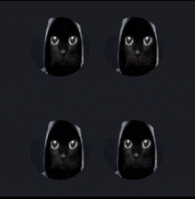 four images of a black cat with white eyes on a dark background