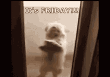 Its Friday Dance GIF - Its Friday Dance Dog GIFs