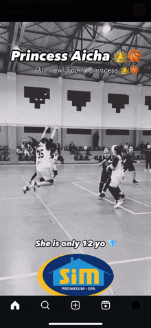 a screenshot of a basketball game with the name princess aicha on the bottom
