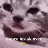 Dance Break Over Cat GIF - Dance Break Over Cat GIFs