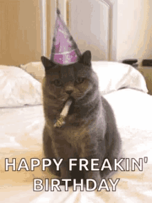 Happy Freakin Birthday GIFs | Tenor