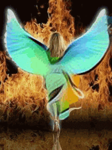 Firey Angel GIF - Firey Angel Wings GIFs