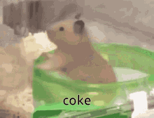 Coke GIF
