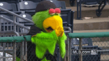 Pittsburgh Pirates Pirate Parrot GIF - Pittsburgh Pirates Pirate Parrot Mlb GIFs