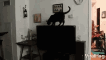 Cat Viralhog GIF - Cat Viralhog Balancing On Tv GIFs