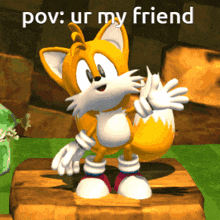 Tails Miles Prower GIF - Tails Miles Prower Pov GIFs