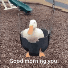 a duck is sitting in a swing with the words `` good morning you '' written below it .