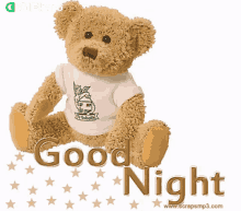 Good Night Gifkaro GIF - Good Night Gifkaro Teddy Bear GIFs