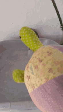 Turtle Toy GIF - Turtle Toy Bath GIFs