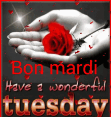 Bon Mardi Have A Wonderful Tuesday GIF - Bon Mardi Have A Wonderful Tuesday Boulenin GIFs