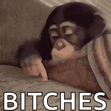 a baby chimpanzee is laying on a couch and pointing at something .