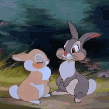 Conejo Y Una Coneja GIF - Conejo Y Una Coneja Kiss GIFs