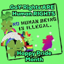a poster that says gay rights are human rights no human being is illegal