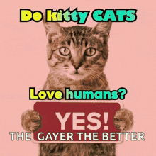 a cat is holding a sign that says " yes "
