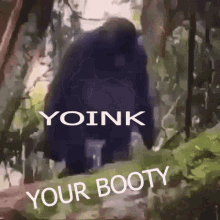 Yoinkboink GIF - Yoinkboink GIFs