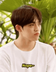 Nope S Coups GIF - Nope S Coups Seventeen GIFs