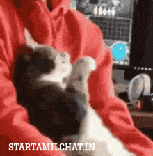 a person in a red sweatshirt is holding a cat with the website starttamilchat.in written below it