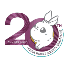 hrss the3bunnies the3bunniesco rabbit bunny
