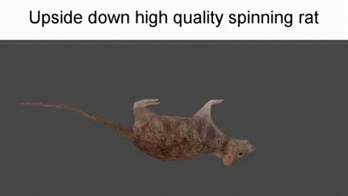 Spinning Rat Louie Spin GIF - Spinning rat Louie spin Roblox louie