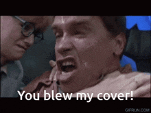 You Blew My Cover Arnold GIF - You Blew My Cover Blew My GIFs