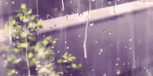 Anime Window Rain GIF - Anime Window Rain GIFs