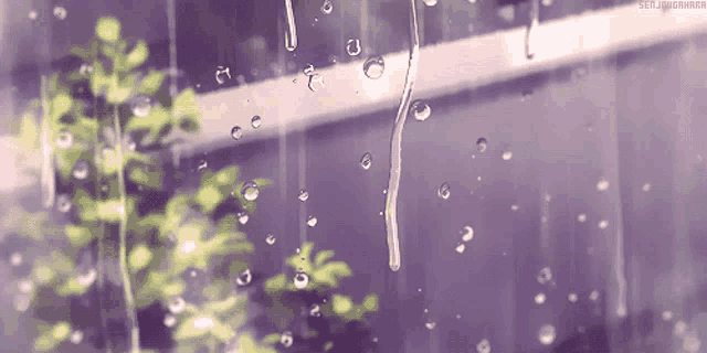 Anime rain scenery HD wallpapers | Pxfuel
