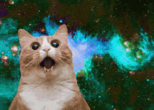 Cat Galaxycat GIF