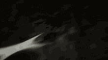 a black and white photo of a leaf 's shadow on a wall