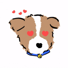 brown white puppy love in love