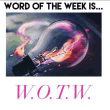 Wordoftheweek Monday GIF - Wordoftheweek Monday Seeitsayitdoit GIFs