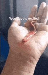 Worm Excited GIF - Worm Excited Cum GIFs