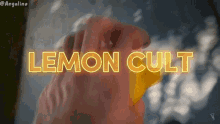 Lemon Cult Aidan Lemon Cult GIF - Lemon Cult Aidan Lemon Cult Lemon Cult Aidan GIFs