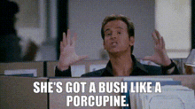 I Love You Man Got A Bush Like A Porcupine GIF