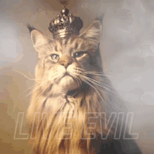Liveevil King Cat GIF - Liveevil King Cat GIFs