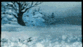 a snowy landscape with a tree in the foreground