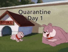 Quarantine Day1 Father And Son GIF
