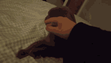 a person petting a cat on a bed with a plaid blanket