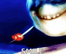 Smile Shark Smile GIF