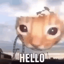 Hello Hi GIF - Hello Hi Cats GIFs