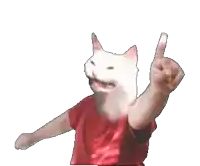 a person wearing a red shirt with a cat head on it