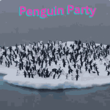 Penguins Penguin Party GIF - Penguins Penguin Party Running GIFs